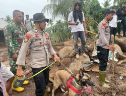 Polri Kerahkan 102 Personel dan Satu Anjing K9 Cari Korban Longsor di Kelurahan Rua