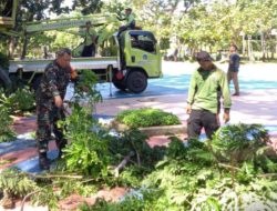 Babinsa Koramil 01/Menteng dan Sudin Pertemanan Laksanakan Penopingan Pohon
