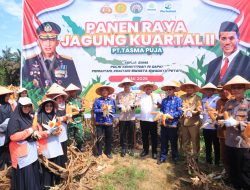 Kapolres Kampar Panen Raya Jagung: Wujud Dukungan Nyata untuk Ketahanan Pangan Nasional   