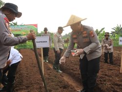 Polres Metro Bekasi Kota Gelar Penanaman Jagung Serentak, Dukung Ketahanan Pangan Nasional