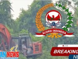 Lembaga Aliansi Indonesia BP2 Tipikor Desak Pertamina Hentikan Kegiatan 5 Excavator di Kampung D.30 Kabupaten Bengkalis 