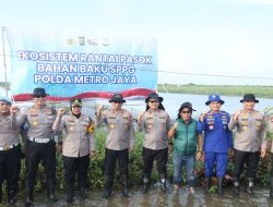Dukung Program Ketahanan Pangan, Kapolda Metro Jaya Cek Tambak Udang di Muara Gembong