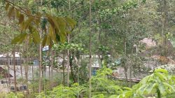 Polemik Sumur Artesis Memanas, Aqua Lido Bakal Disidak DPRD Bogor