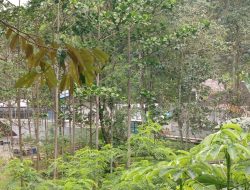 Polemik Sumur Artesis Memanas, Aqua Lido Bakal Disidak DPRD Bogor