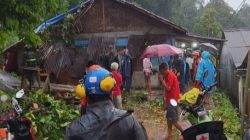 Cuaca Ekstrem di Bogor Selatan, Satu Rumah di Mekarwangi Tertimpa Pohon Tumbang