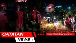 Jalur Palabuhanratu–Banten Tertutup Pohon Tumbang, Pemkab Sukabumi Langsung Evakuasi