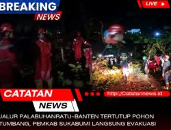 Jalur Palabuhanratu–Banten Tertutup Pohon Tumbang, Pemkab Sukabumi Langsung Evakuasi