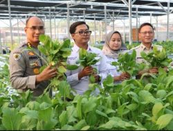 Polda Metro Jaya Bersama Polres Jakbar Panen Sawi Hidroponik dan Ikan untuk Ribuan Penerima Manfaat SPBG Palmerah